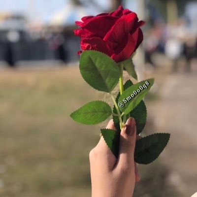 امــȷأة 👸🏻 ،، بقـــوام ،، قصيــدة ،، لايقـرأها غيـر فصيــح 🕊️ (مُــȷوا على الأثـَـȷ ) ،،، ✍🏻