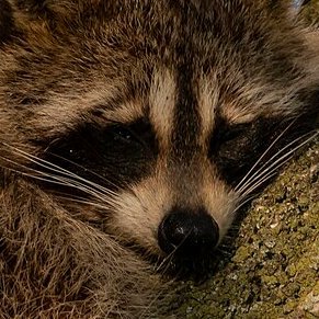 any remaining interest my friends have in me is just