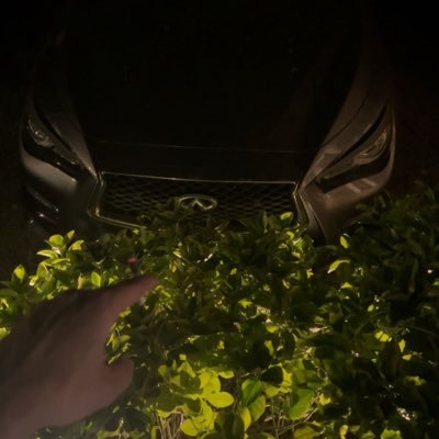 q50compgas's profile picture. 20 | Call Of Duty freak.