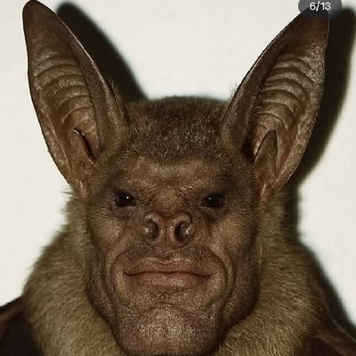 Maciel58263752's profile picture. 