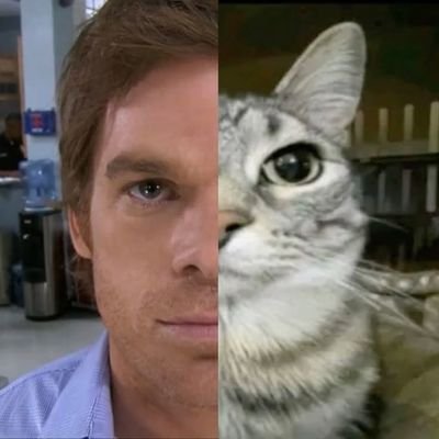 eddogrande's profile picture. as minha felicidade, é um crediário nas casas bahia
