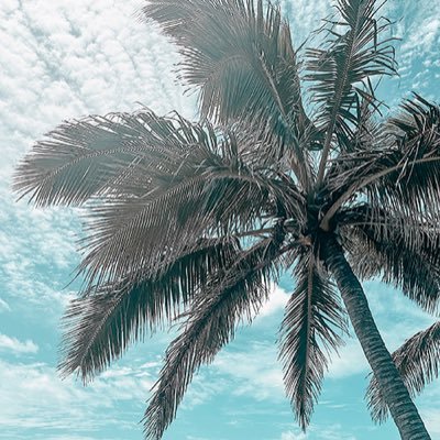 BEXYZ_46838's profile picture. 