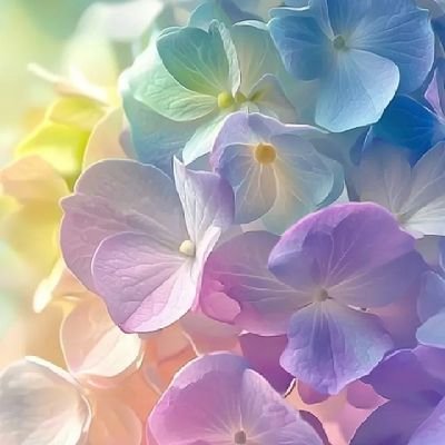 minmim452's profile picture. とりあえずやってみた(笑)
始めてみました❗
ゆるゆる更新中