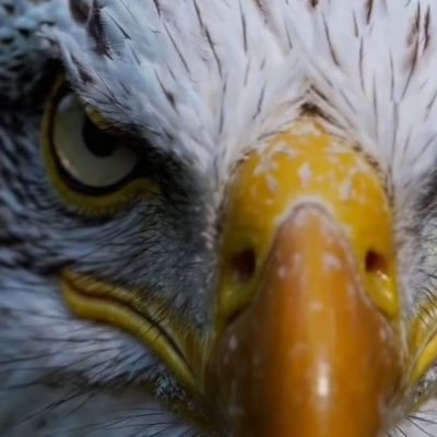 rjarnigan's profile picture. 