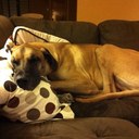 Peter Cornelison - @PeterTheGr8Dane - Twitter