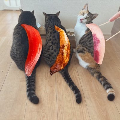 89年88年👫/IVF→24.7.12.3665g誕生🦖/3姉妹猫🐱ྀི🐱ྀི🐱ྀི/服、漫画、収納、インテリア、ミッフィー、ねこに心が踊る/返信遅レス⸜🙌🏻⸝/撮影会にハマり自宅フォトやFFさんと撮るのが好き/•᷅•᷄\୭