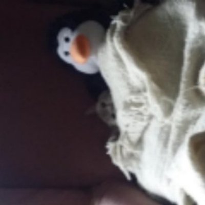 moose1301's profile picture. Java Developer