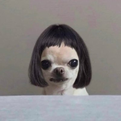 heademptycindy's profile picture. 