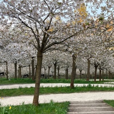 elaineforster19's profile picture. 