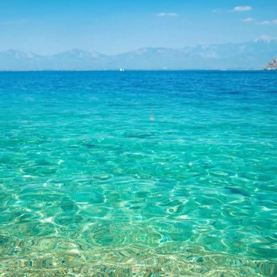 Salvado28092463's profile picture. 