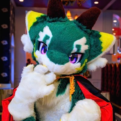 @fursuit_furry