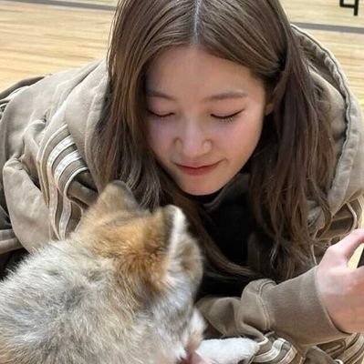 tuttipapaya's profile picture. Click here for a free seal pup!!