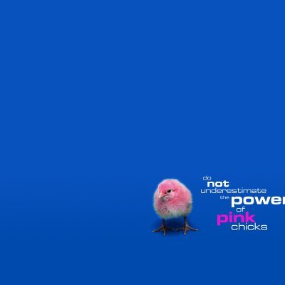 Millevacobson's profile picture. He has achieved success who has worked well, laughed often, and loved much.