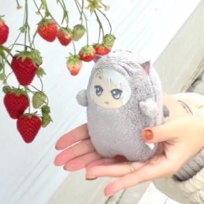 n__08gk's profile picture. 20↑ のえる/未定 です┊︎二次元┊︎特撮┊︎繭期┊︎Wataru Hatano┊︎Daichi Miura┊︎Furui Riho┊︎Snow Man🧡┊︎and more┊︎趣味や日常など気ままに︎︎┊︎絵垢▷@L__NOE 🗝▷@Noeno_el