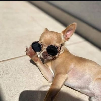 JnrLinekerbrent's profile picture. One who loses his life for his country will get it.