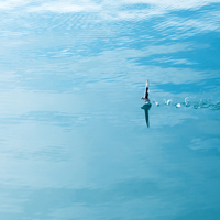 LucasRomer34197's profile picture. An motivational and encouraging individual who enjoys reading, tutoring, cycling, painting. Currently working in educational technology.