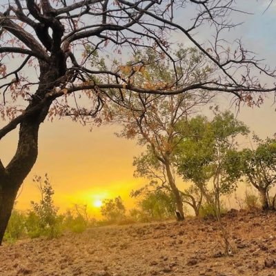 sulaymannjz90's profile picture. Blessings to those who help the poor and show generousity towards them, and do so without a grudging heart ❤️🙏🏾