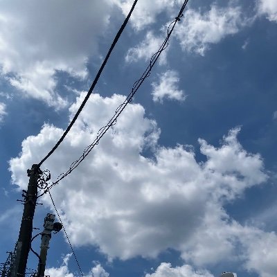 sdY0056xZd14643's profile picture. 