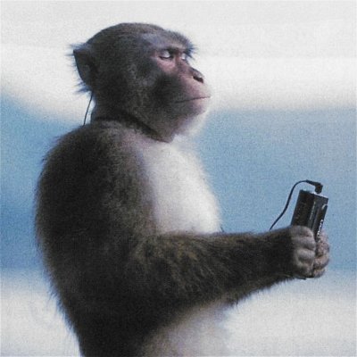 zoxsolana's profile picture. 
