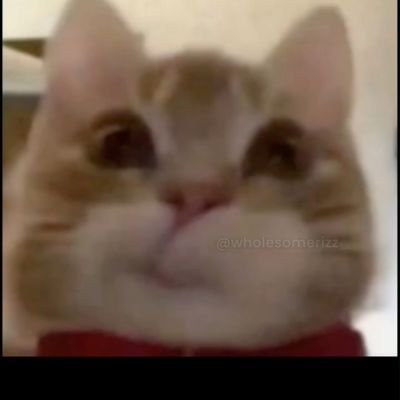 prabhxs's profile picture. dots will connect