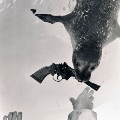 excessivelyryan's profile picture. 28 // gay idiot // horny, anxious, trying to make it work // nsfw alt