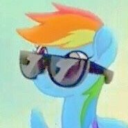 27 • she/her • bi • artist • Rainbow Dash is best pony • plushie hoarder • pegasister since 2011