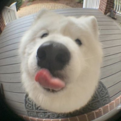 chomopiee's profile picture. 🐯🐻#MARKLEE #HAECHAN 🤖#ASAHI💎💙❤️#Bbillkin #PPKritt 🐶#KHUNPOL #HEARTchuthiwat🐽#GUNDAM_LE7EL #JAMES_LE7EL