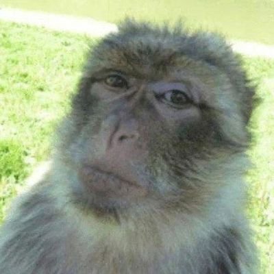 Wildhog2763's profile picture. freak