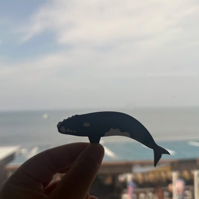 ゆーたさんのプロフィール画像