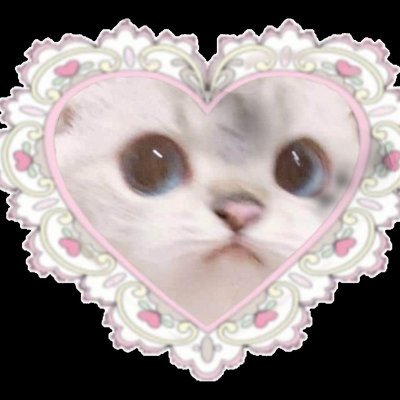 おともだちなってくれるひといますか? ☁️︎︎ ⇒ https://t.co/KMlnjTHycX