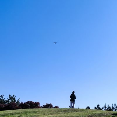 sdhzack36542302's profile picture. 