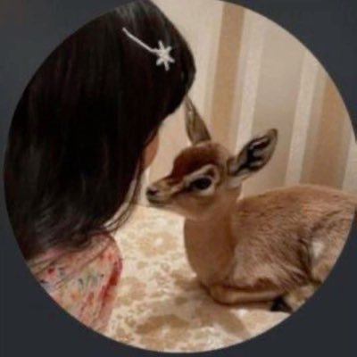 ماحب المهونه والتودد والاستعطاف احب اتحدا الصعب لين اكسب الجوله ••———◇◆◇———•• لايوجد في قلبي حبيب ولاراح احب احد 👋🏻😴