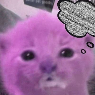 may you find your worth in the waking world 🪽 jb julie ³³³ they/she/it ♱ shy 🔞 ohio ⚧ priv @purplemossbush ⚢