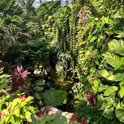 zonsopgang6's profile picture. 