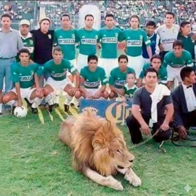 ldajonah2's profile picture. 🦁 Ser Fiera Es Un Orgullo 🦁