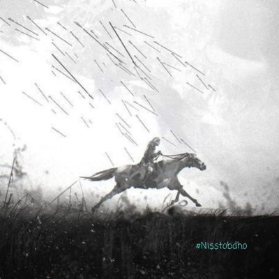 nisstobdho_GT's profile picture. Name Enough 💪👀🔥