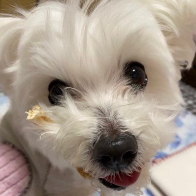 Kinako_Mochi397's profile picture. ラシクラボ横浜に2025.08.05から通ってます。