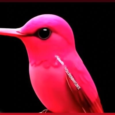 @Aslam1573423