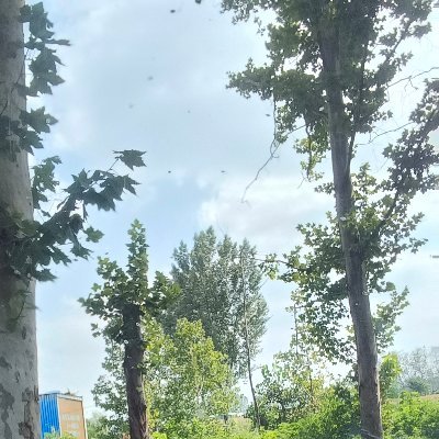 wzw6881's profile picture. 