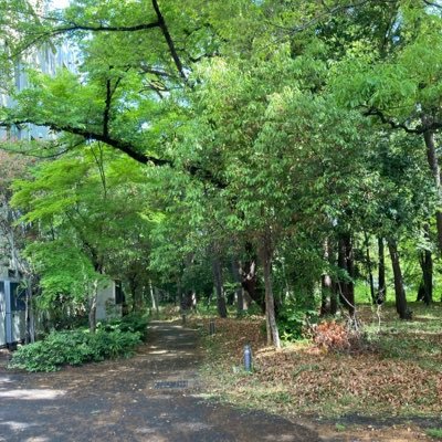 RyogaOishi's profile picture. PhD student at Saitama University / Imitation learning, Motion segmentation
