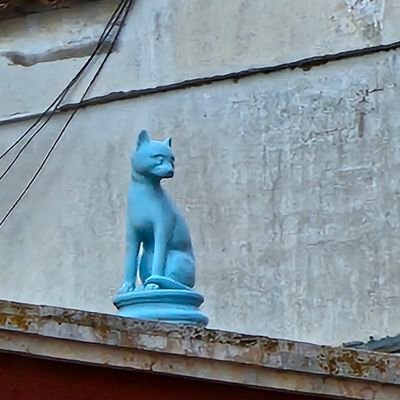 jotape269's profile picture. 