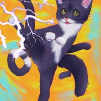meda_S / TK (hwo) /VF(kage)/ ygo (Phantom Moonlight)/ speed cube