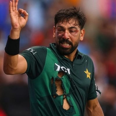 CerebralQuery's profile picture. Professional Aloo Paratha Eater.