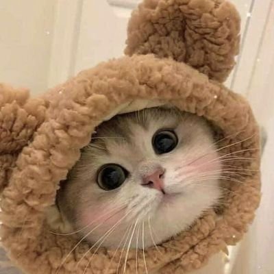 matvey_37's profile picture. 