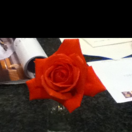 1DueSouth's profile picture. Staunch Conservative. Blues fan, loyal friend, smartass.