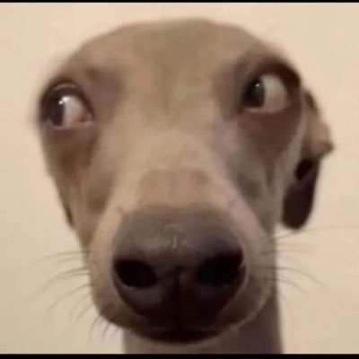 dicktropica's profile picture.