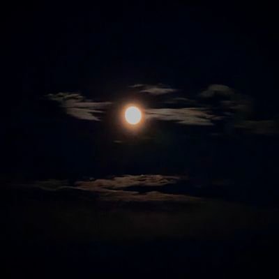 ajhash_1782625's profile picture. (Retired WWE 2K Community Creator)
                     Note a possible future comeback in the works. 💪