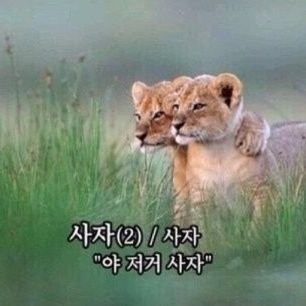 gimjang73475's profile picture. 주식, 투자, 덕질, 맛집, 빵순이, 독서, 앱테크, INTP, 쌍둥이 자리 등등,,, 빨리 은퇴하고 싶은 오덕후 ~쪽지사절입니다 차단합니다