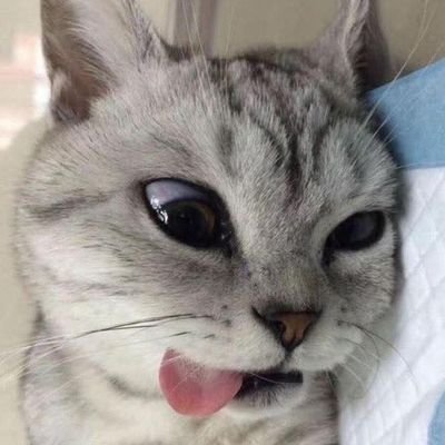 x_xさんのプロフィール画像