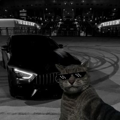 alphaaa__3's profile picture. He/Him || 𝙴𝚖𝚋𝚛𝚊𝚌𝚎 𝚝𝚑𝚎 𝚠𝚒𝚕𝚍 𝚜𝚒𝚍𝚎 𝚘𝚏 𝚢𝚘𝚞𝚛 𝙳𝚎𝚜𝚒𝚛𝚎𝚜.🍷🤍